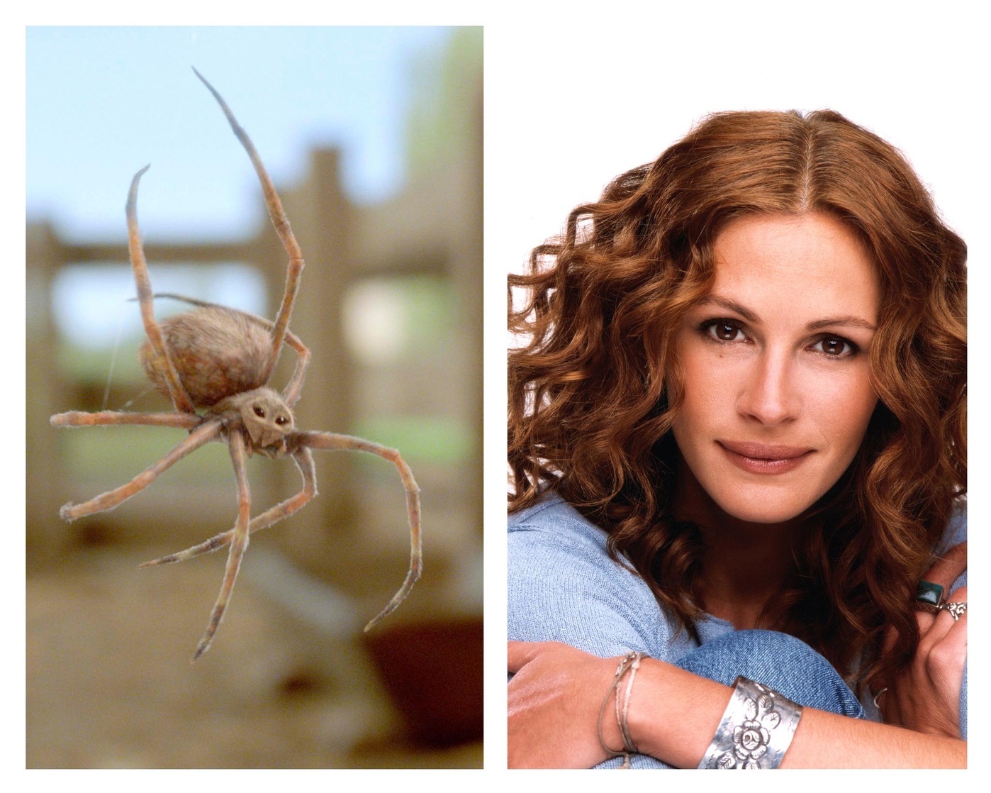 Charlotte's Web