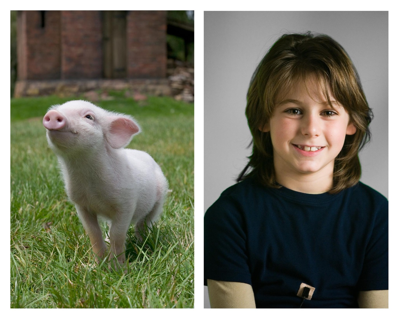 Charlotte's Web