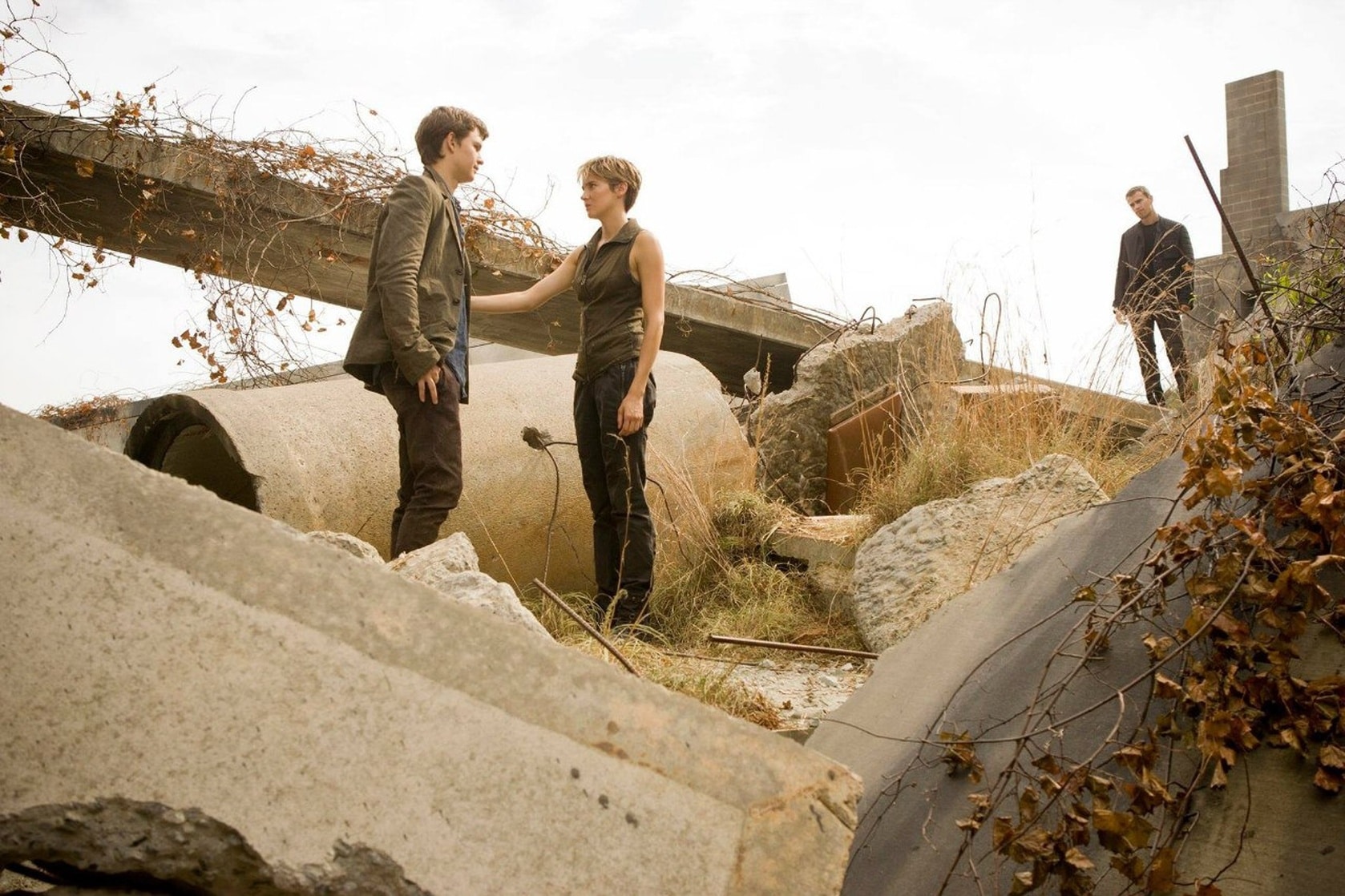 Picture of Insurgent