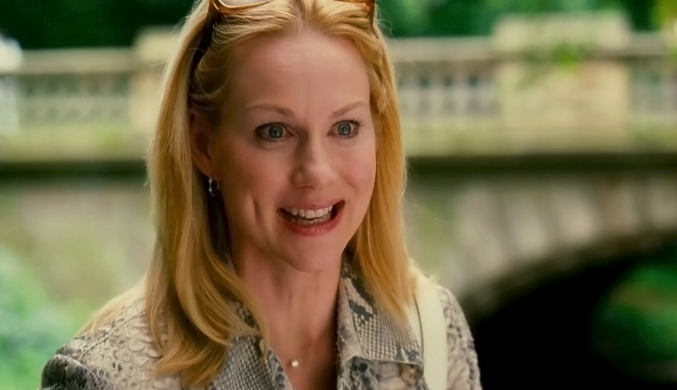 The Nanny Diaries The Nanny Diaries