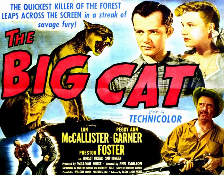 The Big Cat