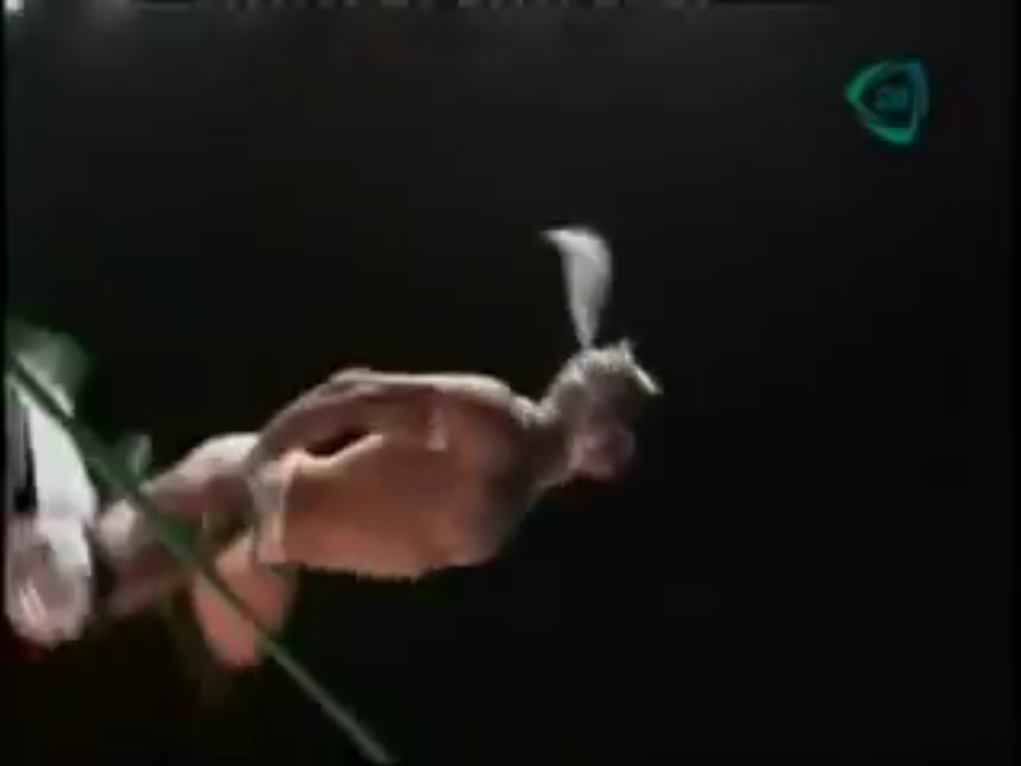 Dragon Lee vs. Virus (2014/12/9)