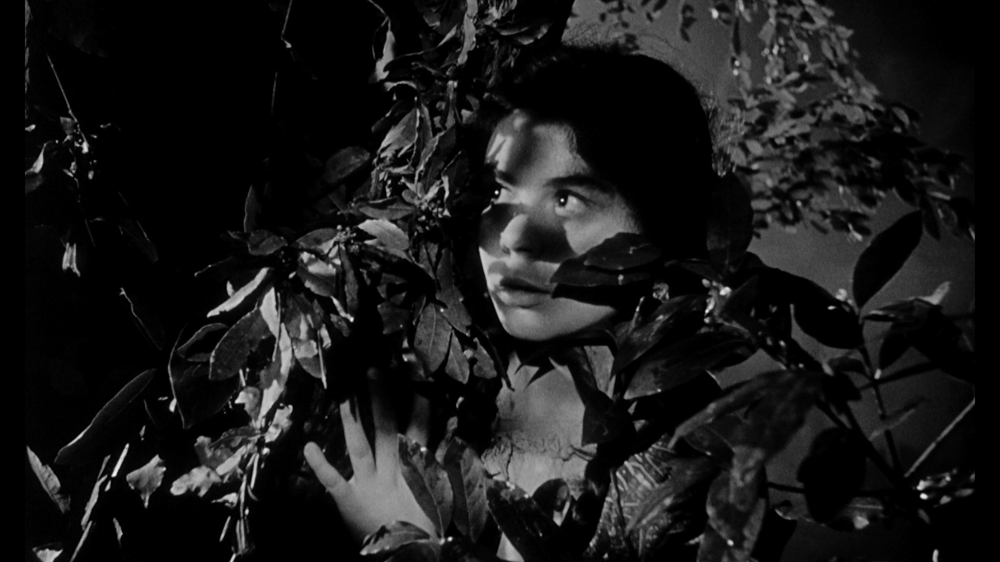 Black Sunday Black Sunday
