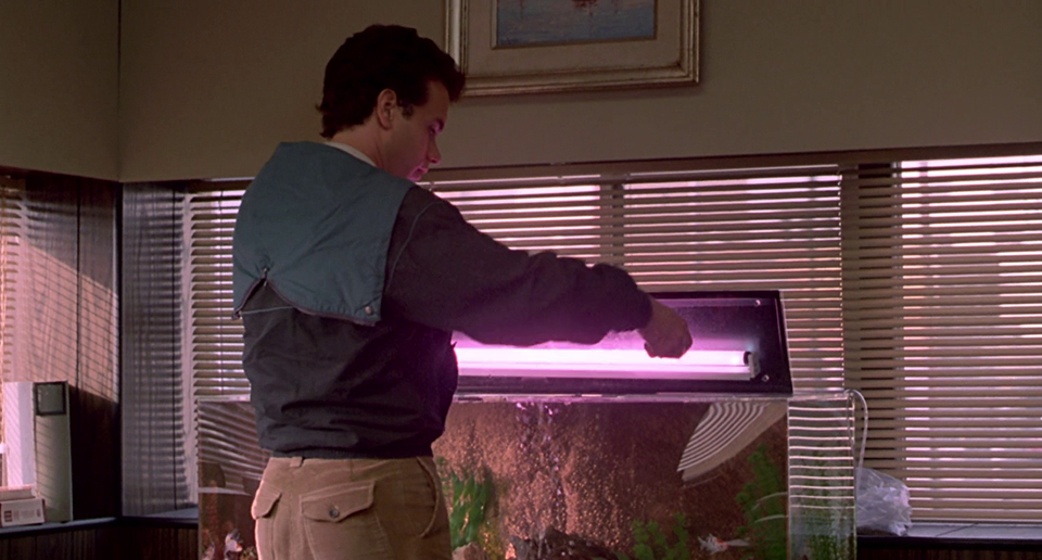 Splash (1984) Splash (1984)