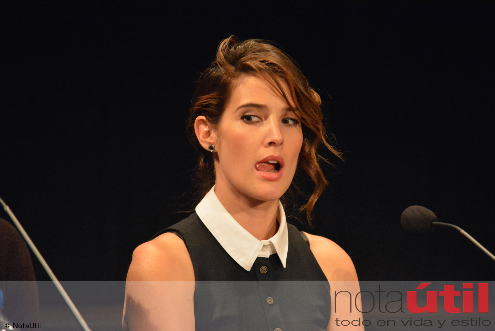 http://ilarge.lisimg.com/image/8488334/1118full-cobie-smulders.jpg