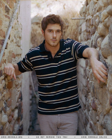 Picture of Dave Annable