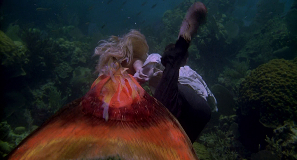 Splash (1984) Splash (1984)