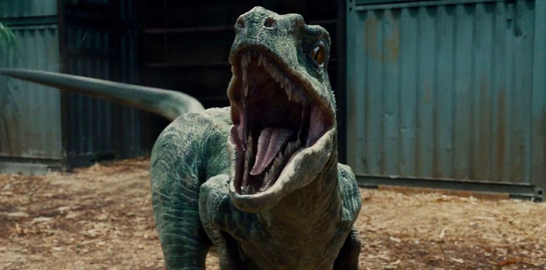 Jurassic World Jurassic World