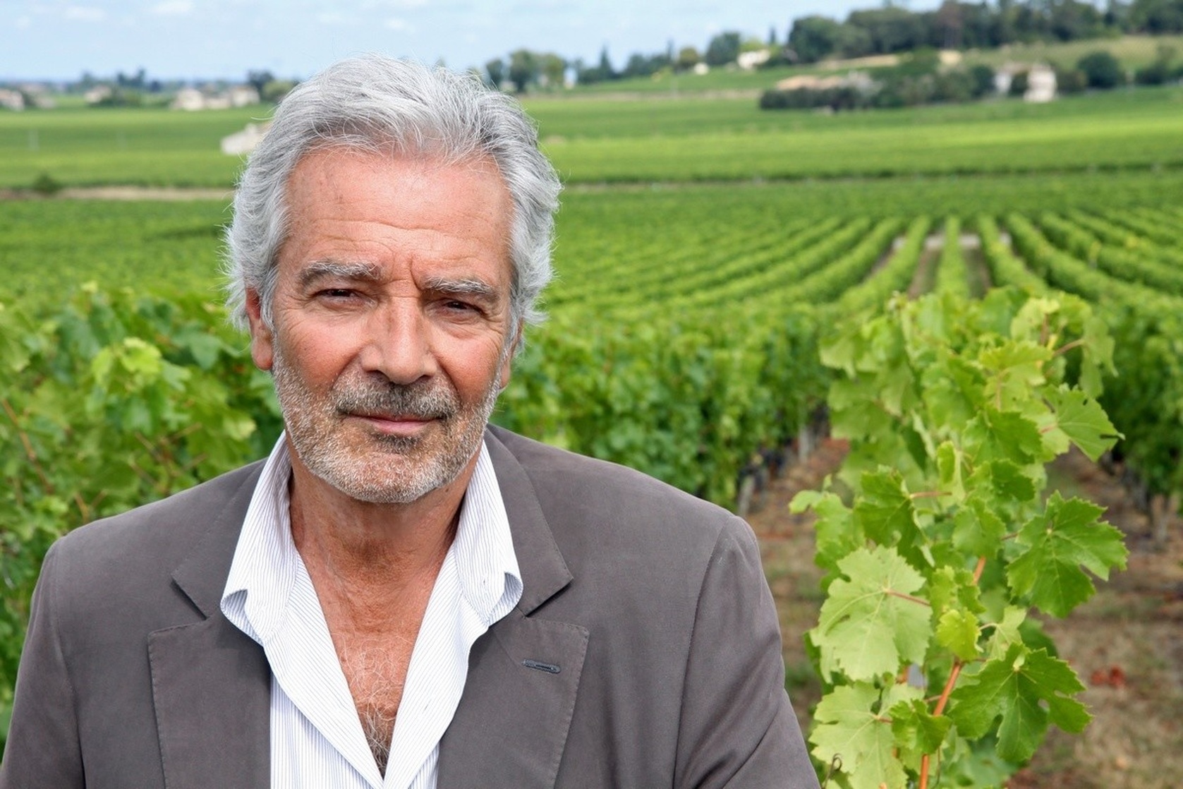 Le sang de la vigne