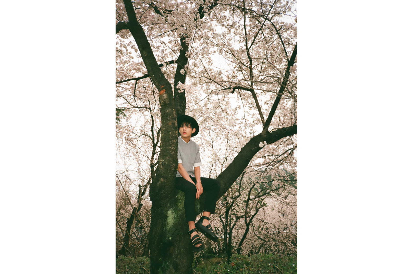 BTS (Bangtan Boys)