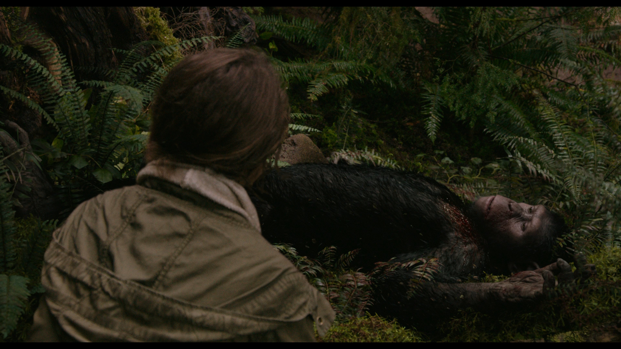 Dawn of the Planet of the Apes