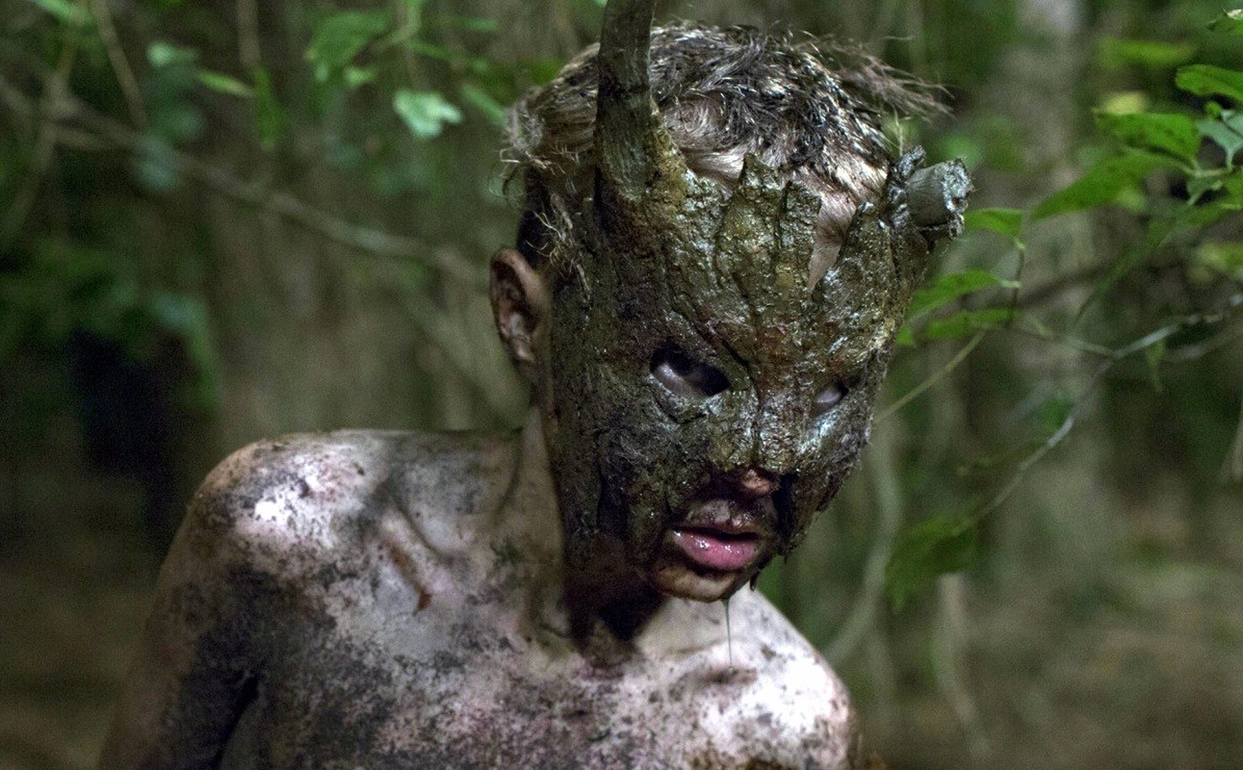 Cub (2014) Cub (2014)