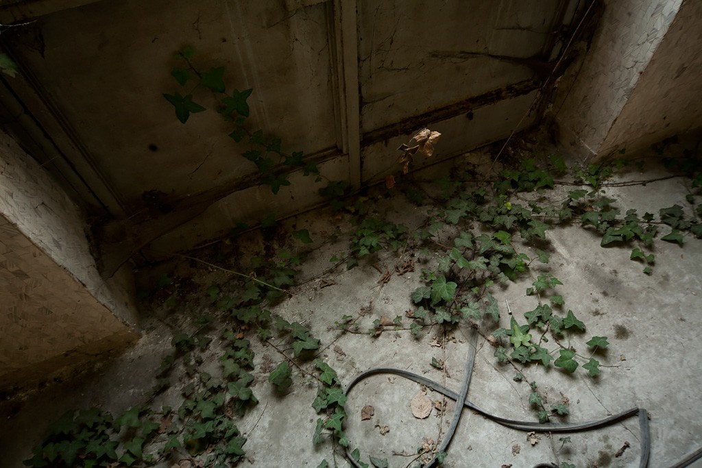 Mombello Psychiatric Hospital