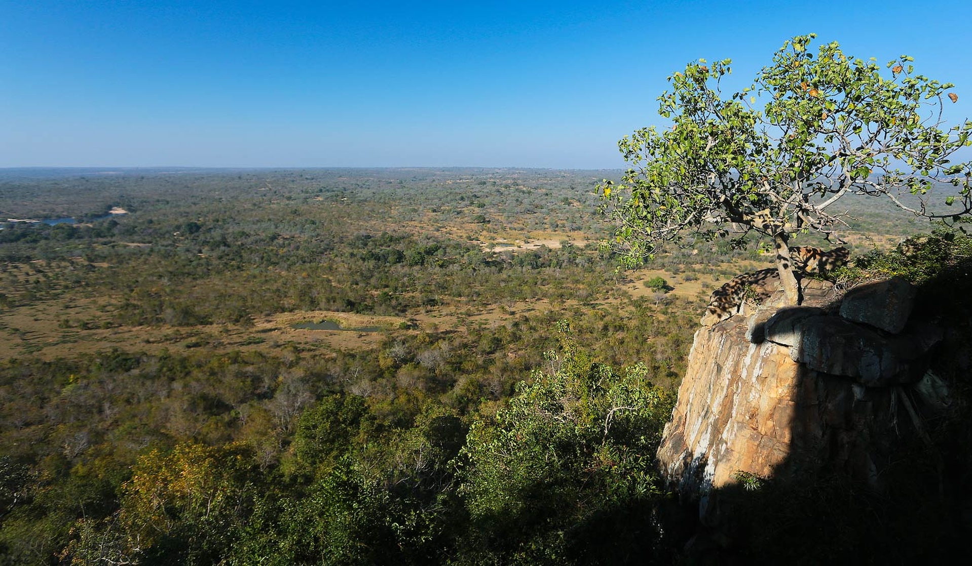 Sabi Sand Game Reserve