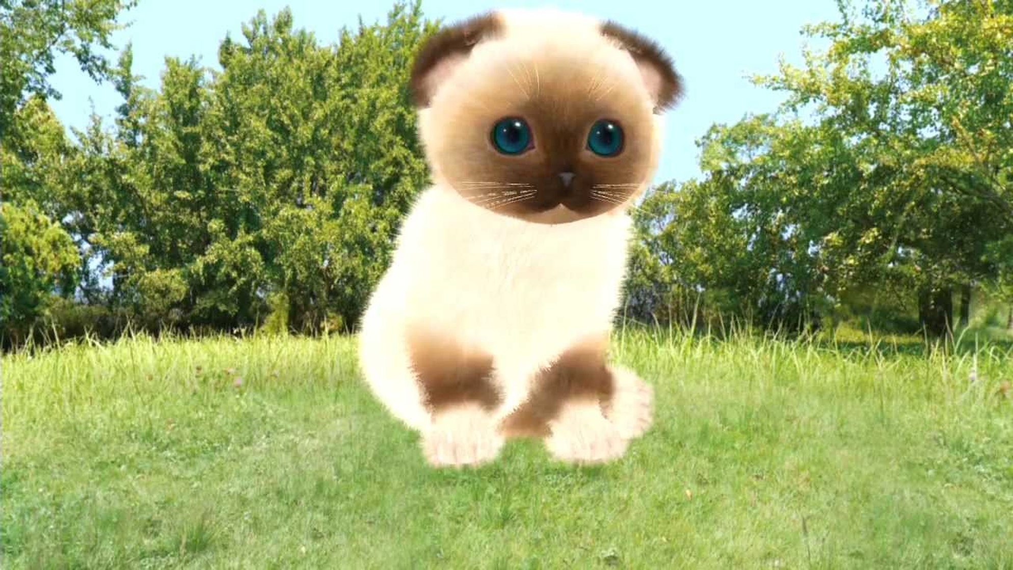 Aabs Animals
