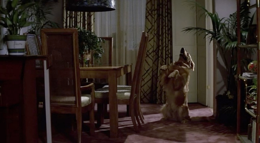 Poltergeist