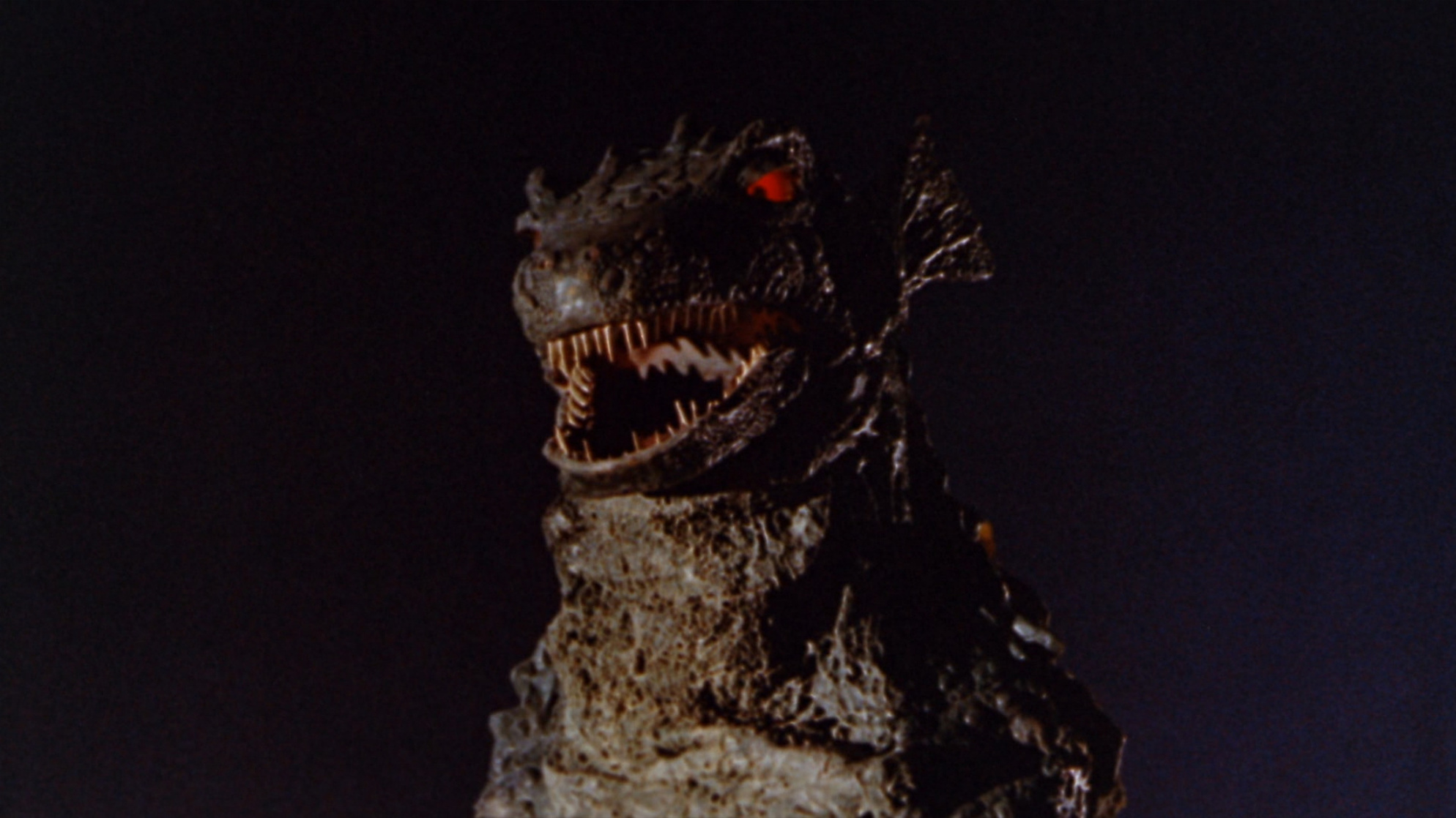 Gorgo Gorgo