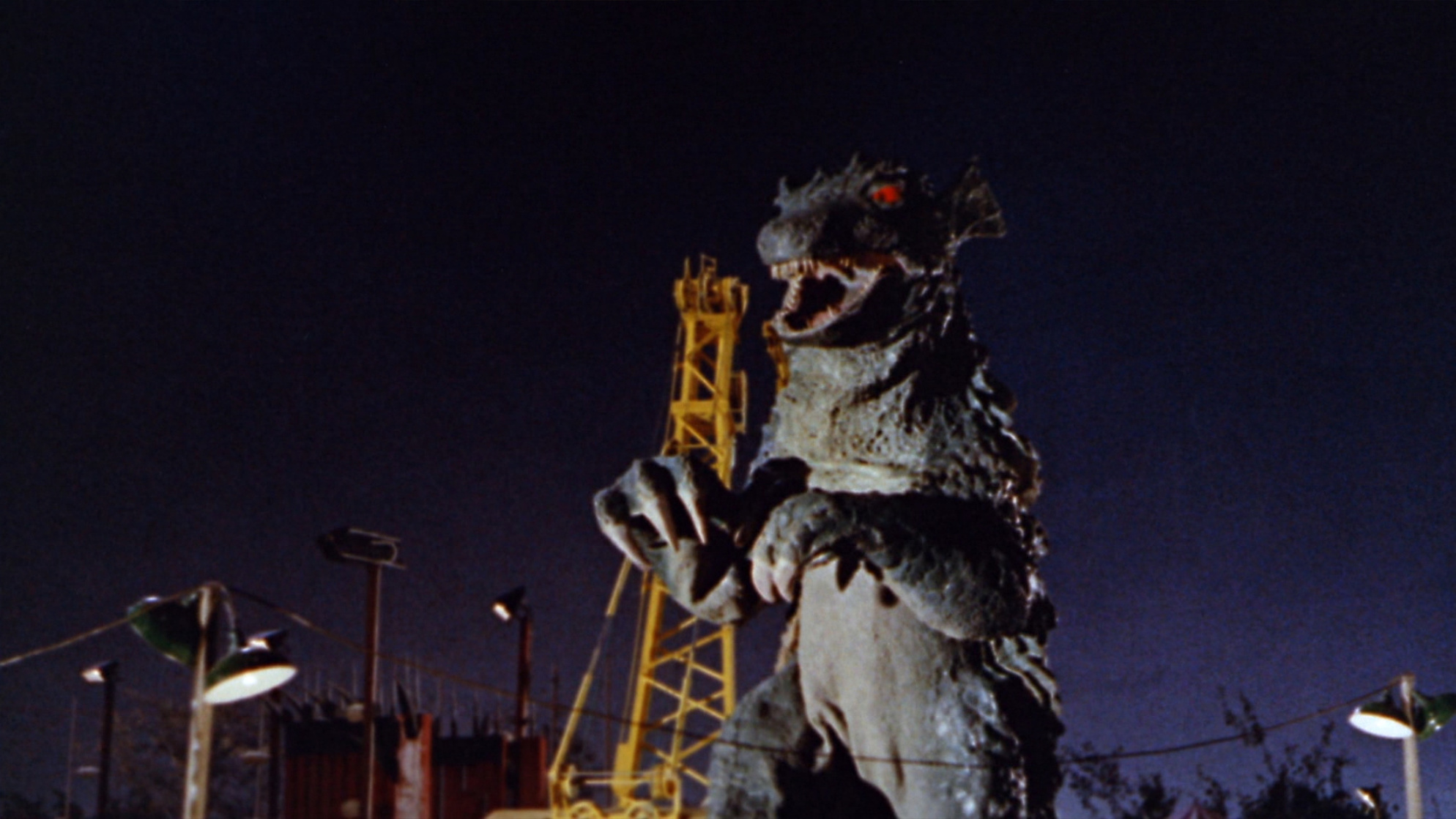 Gorgo Gorgo