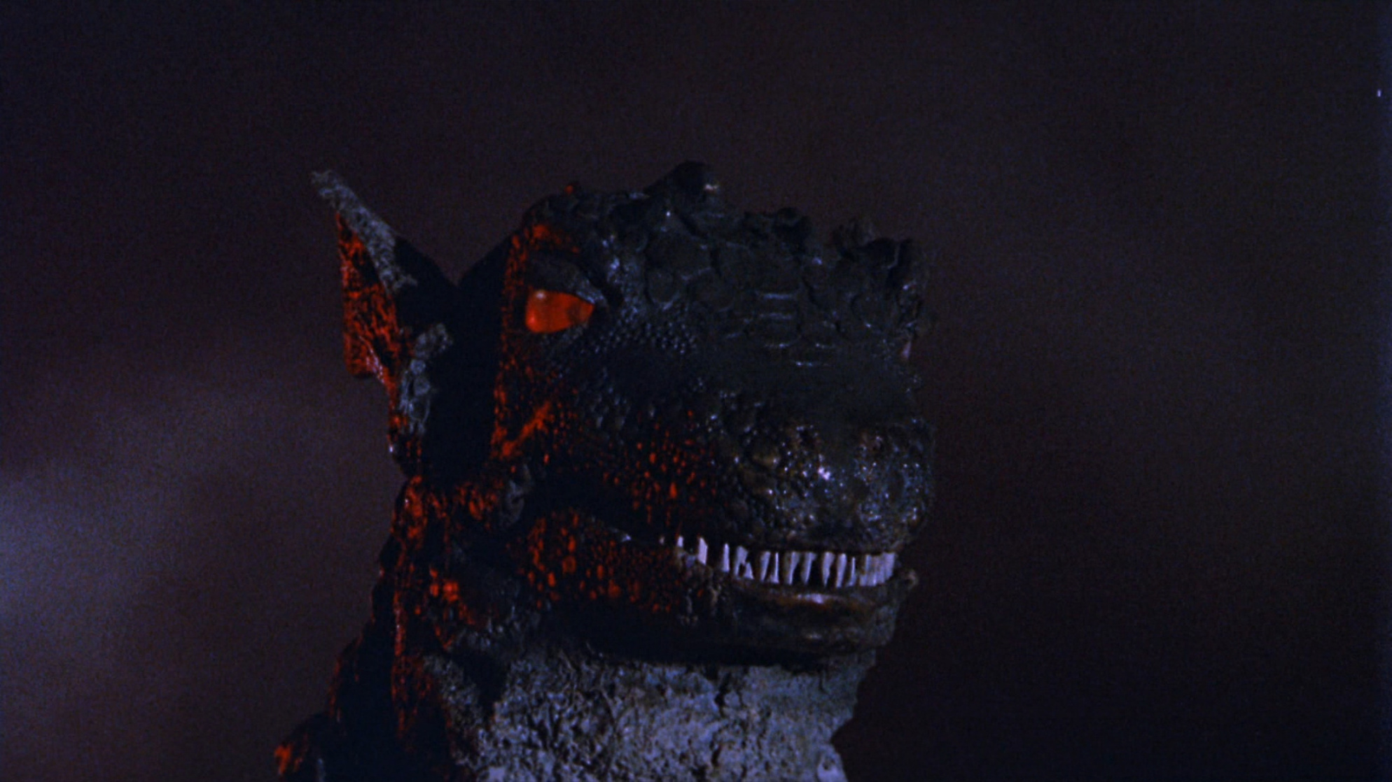 Gorgo Gorgo