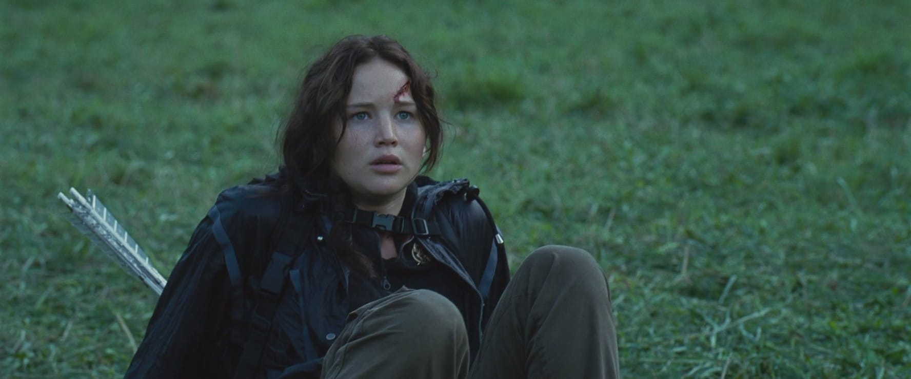 Picture of Katniss Everdeen