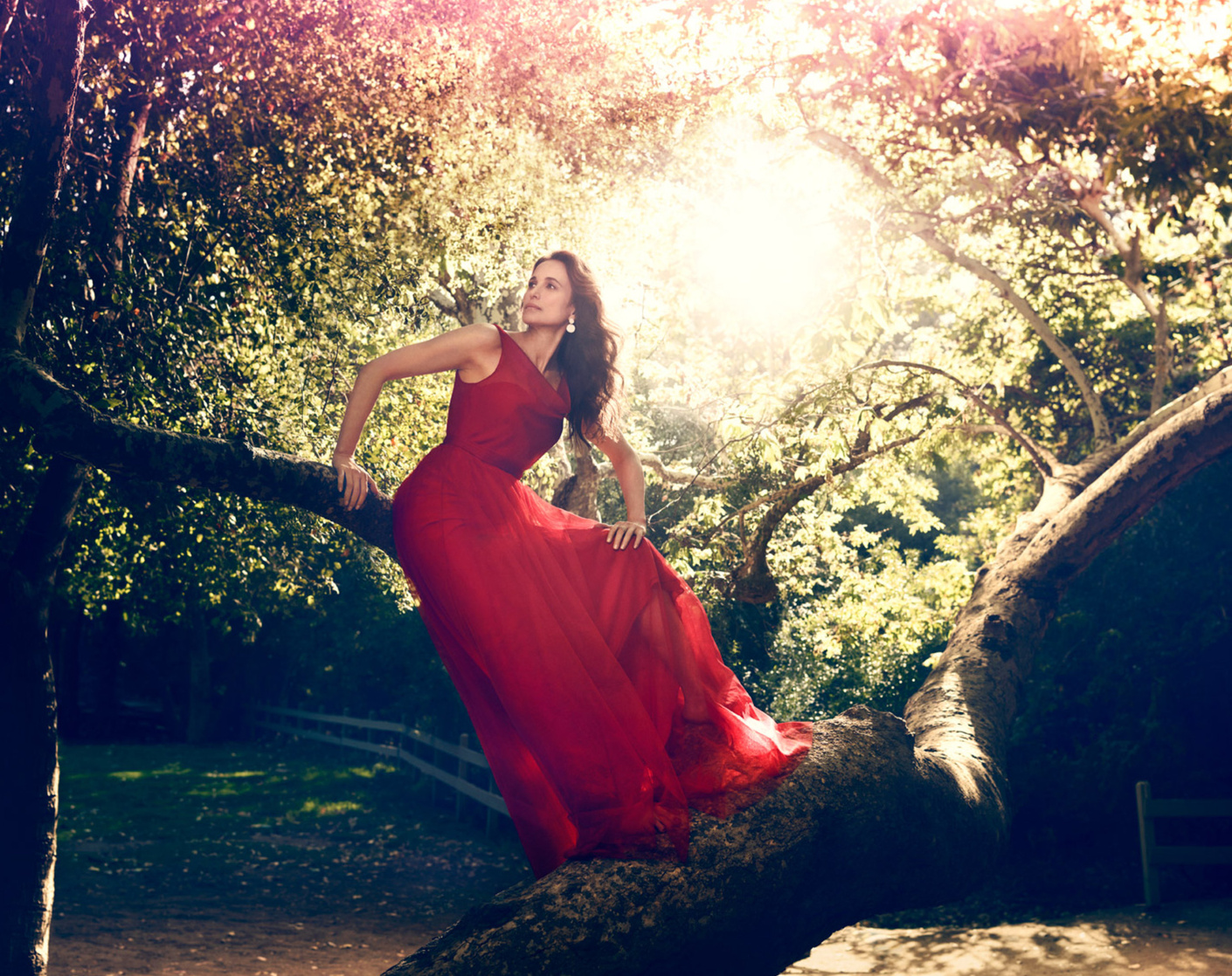 Andie MacDowell Andie MacDowell
