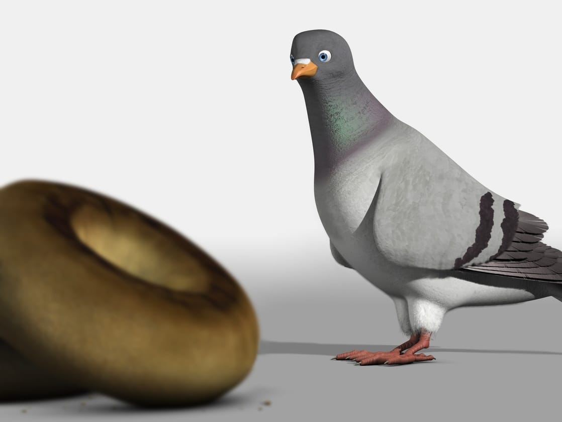 Pigeon: Impossible