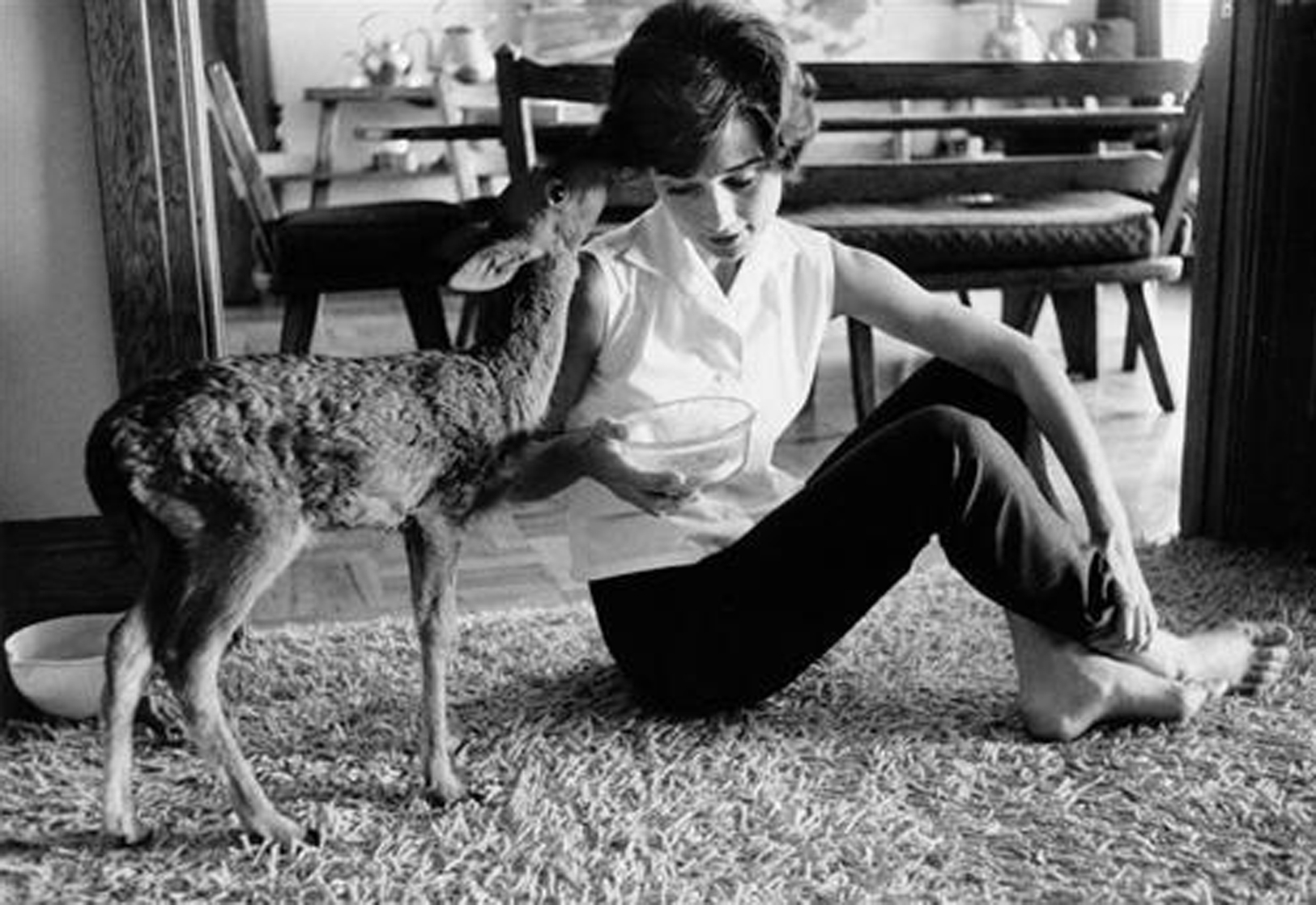 Audrey Hepburn