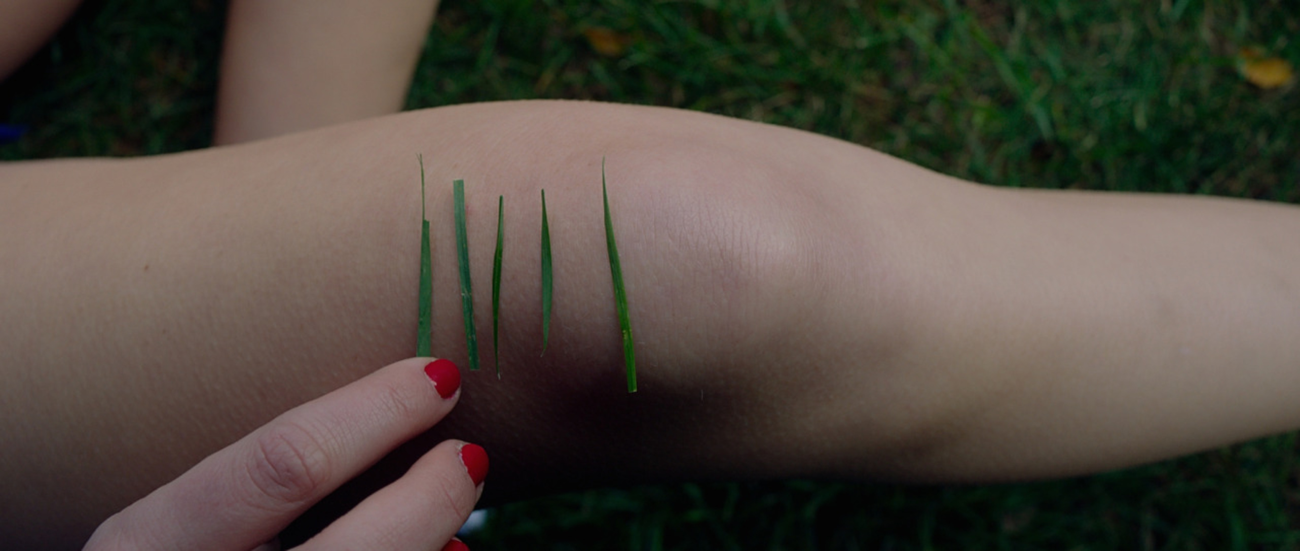 It Follows