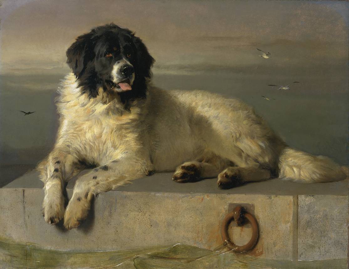 Edwin Henry Landseer