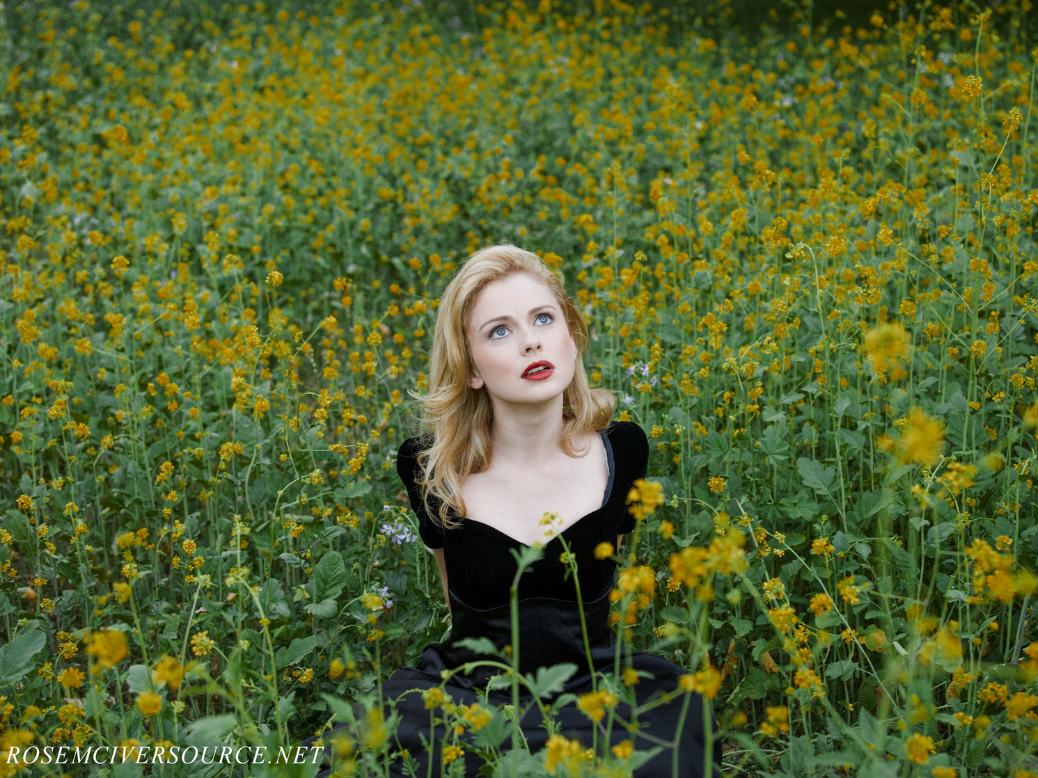 Rose McIver Rose McIver