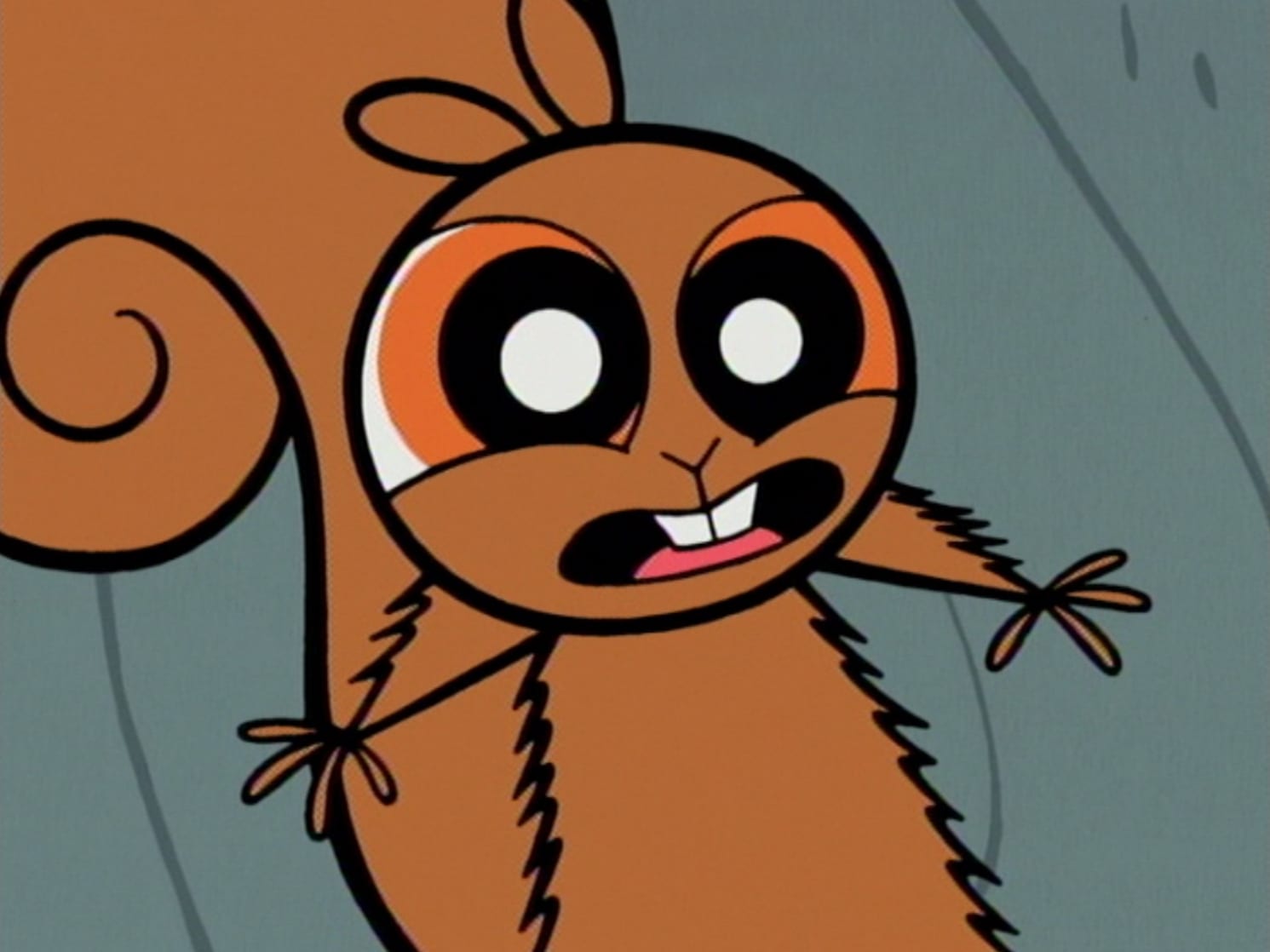 The Powerpuff Girls