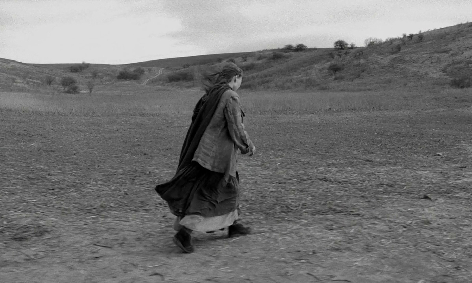 The Turin Horse (2011) The Turin Horse (2011)
