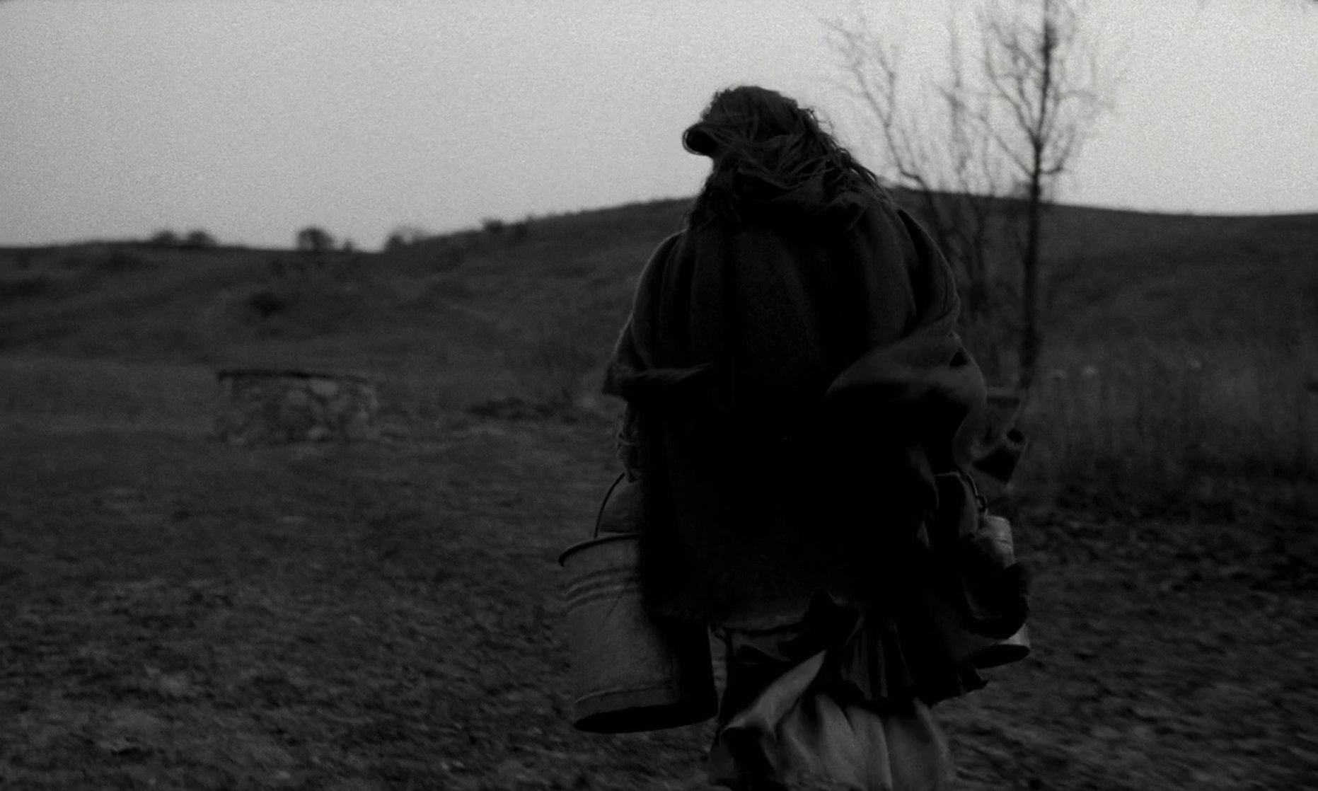 The Turin Horse (2011)