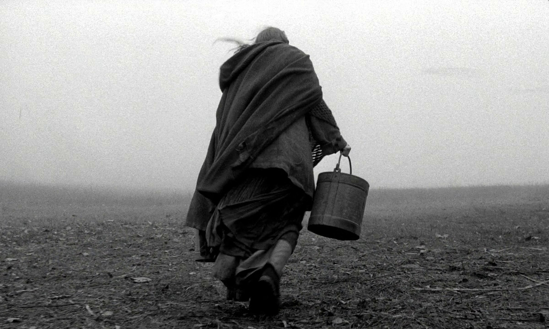 The Turin Horse (2011) The Turin Horse (2011)