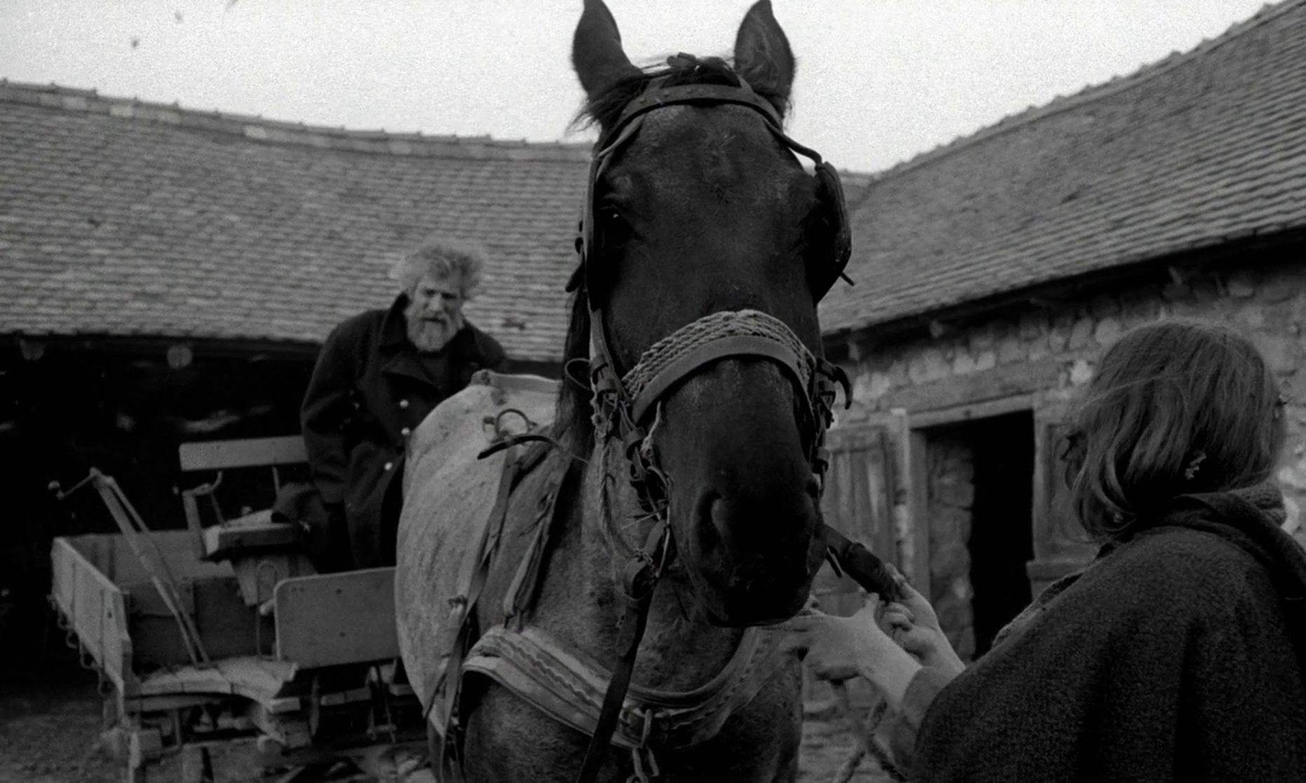 The Turin Horse (2011)