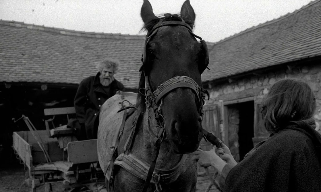 The Turin Horse