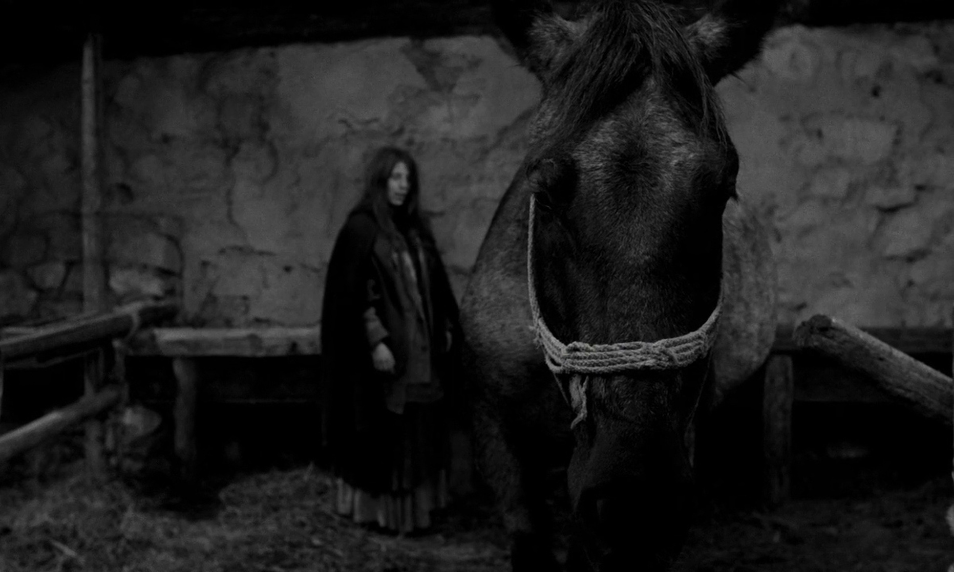 The Turin Horse (2011)