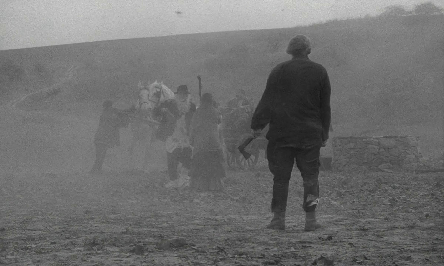 The Turin Horse (2011) The Turin Horse (2011)
