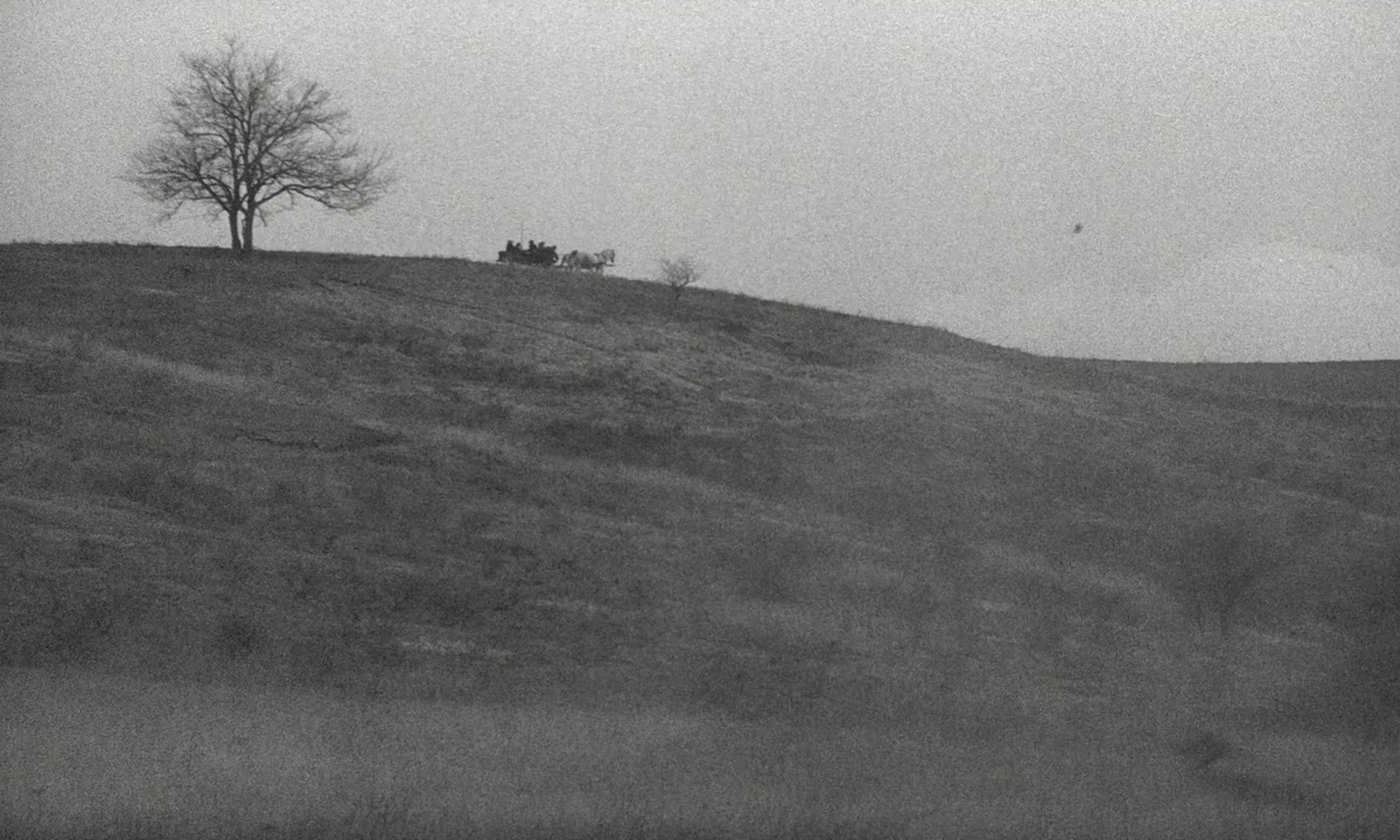 The Turin Horse (2011)