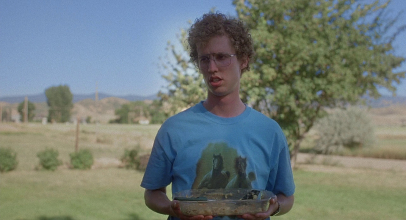 Picture of Napoleon Dynamite