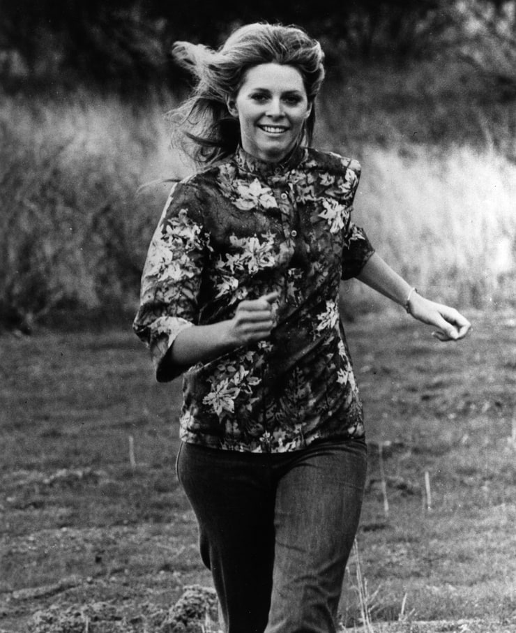 Picture Of Lindsay Wagner 9867