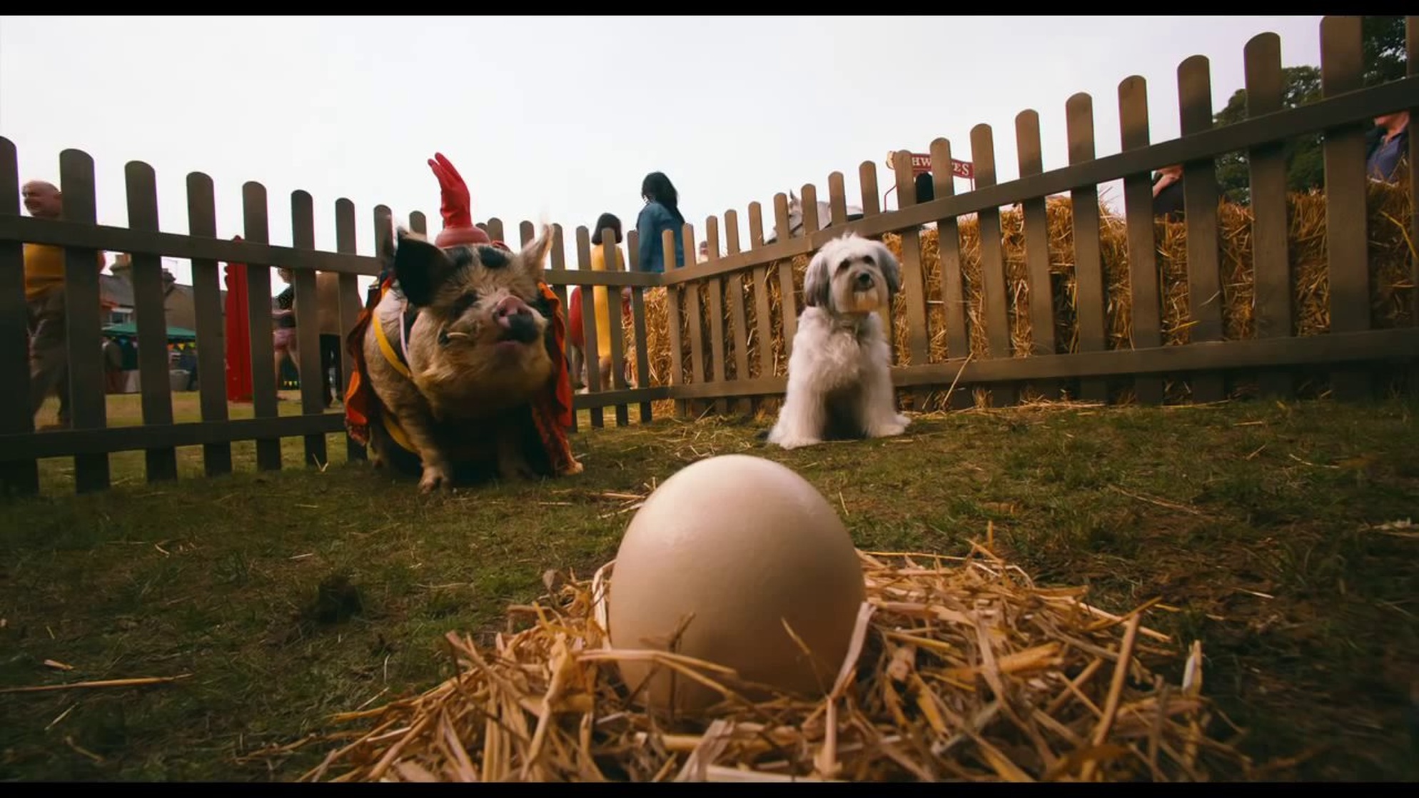 Pudsey the Dog The Movie picture