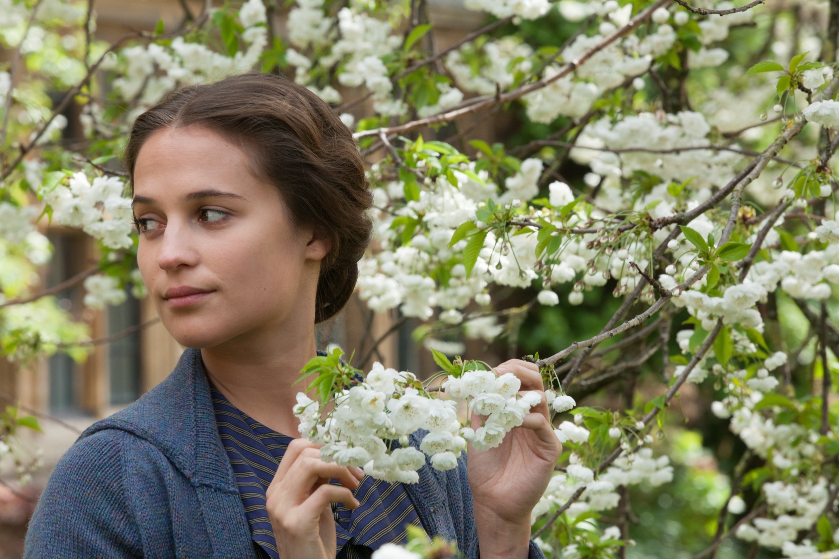 Alicia Vikander Alicia Vikander