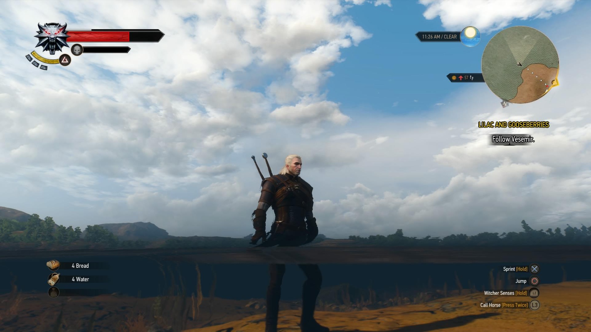 The Witcher 3: Wild Hunt