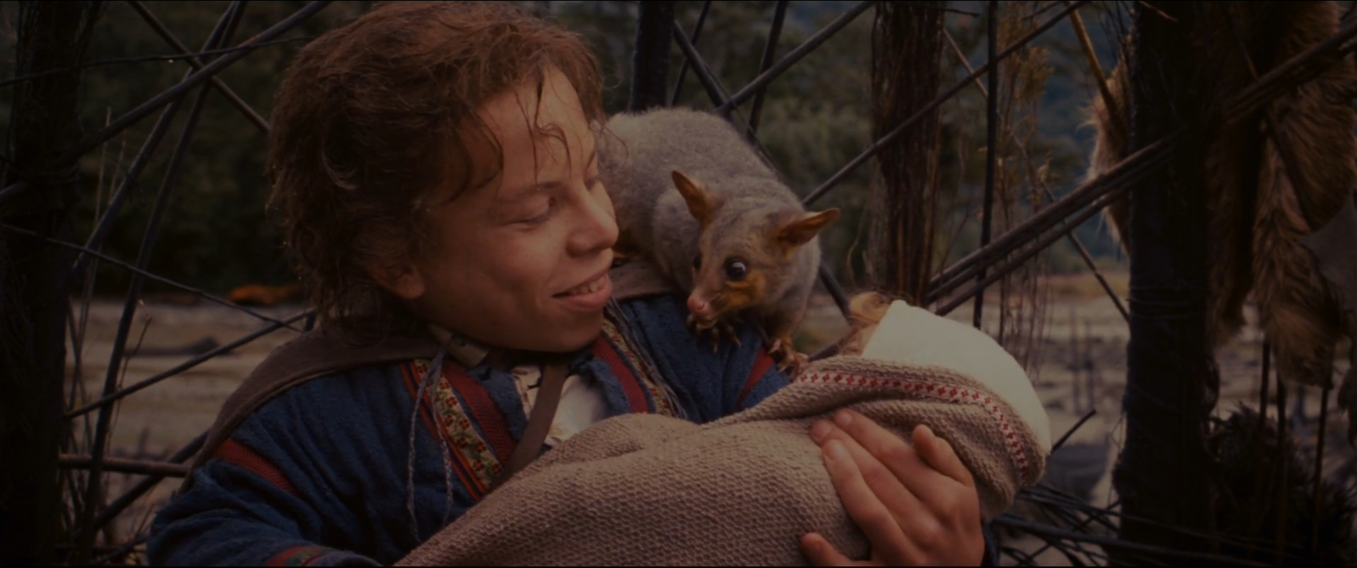 Willow