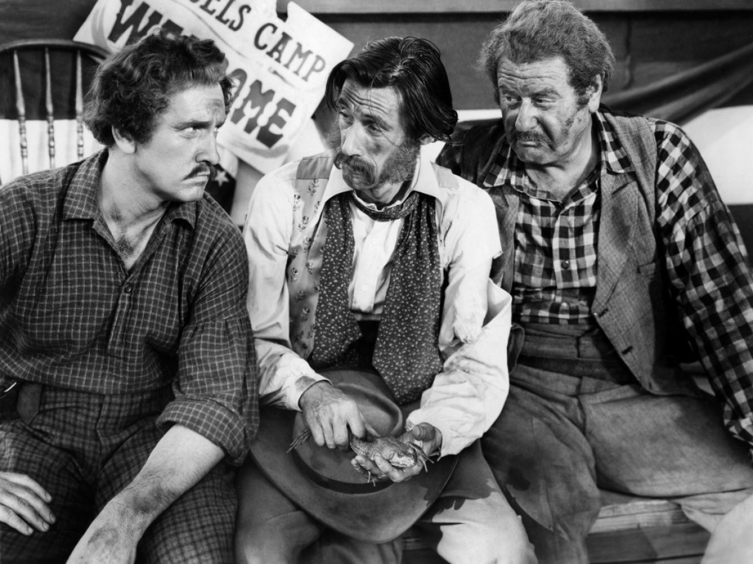 The Adventures of Mark Twain