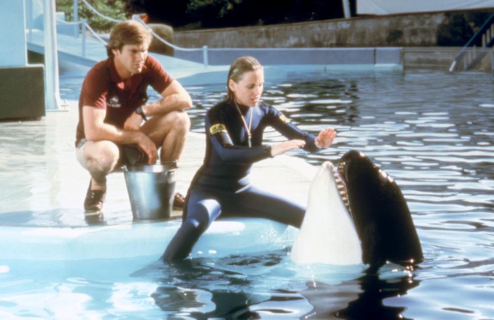 Jaws 3