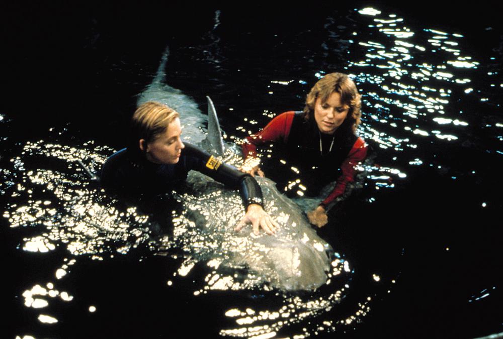 Jaws 3