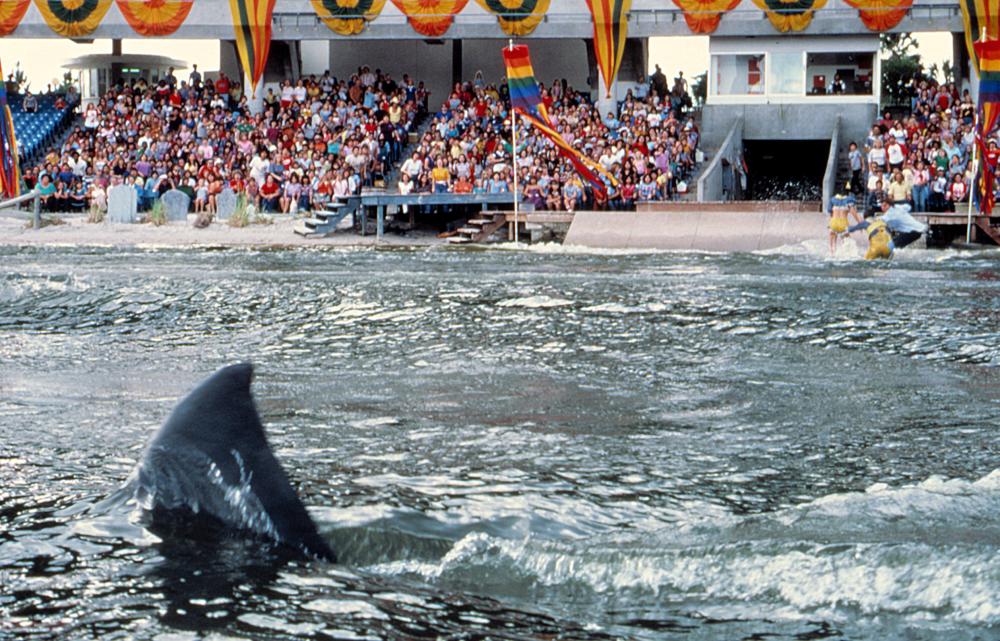 Jaws 3