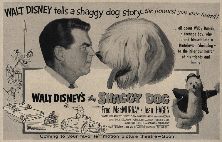 The Shaggy Dog The Shaggy Dog